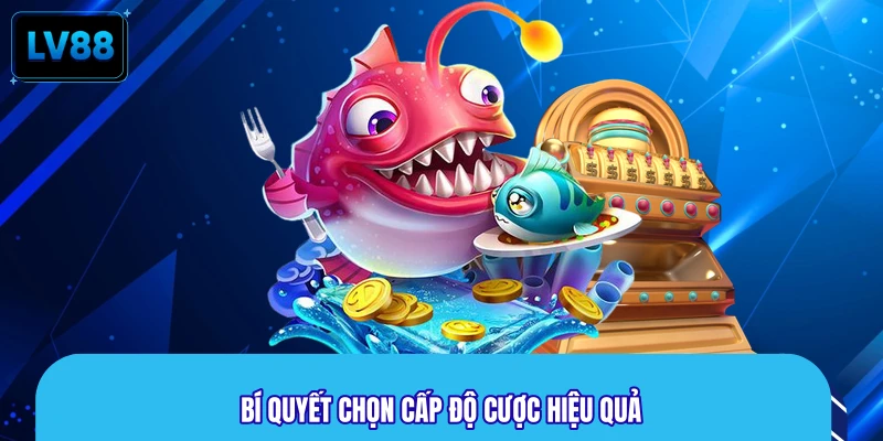 Bí quyết chọn cấp độ cược hiệu quả