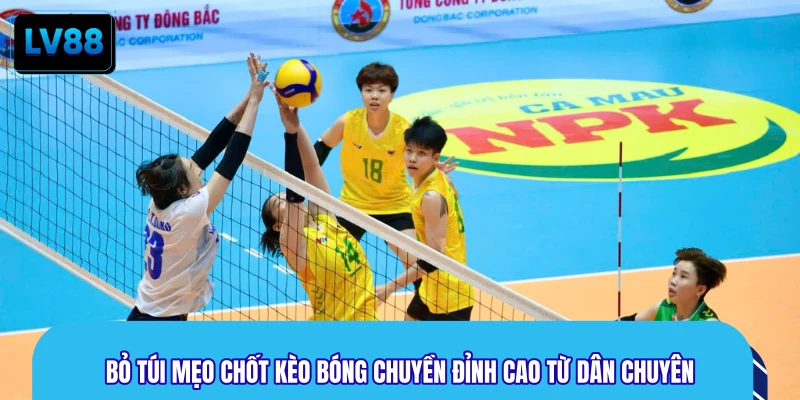 Bỏ túi mẹo chốt kèo bóng chuyền đỉnh cao từ dân chuyên