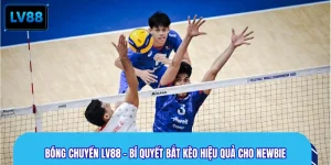 Bóng Chuyền LV88 - Bí Quyết Bắt Kèo Hiệu Quả Cho Newbie
