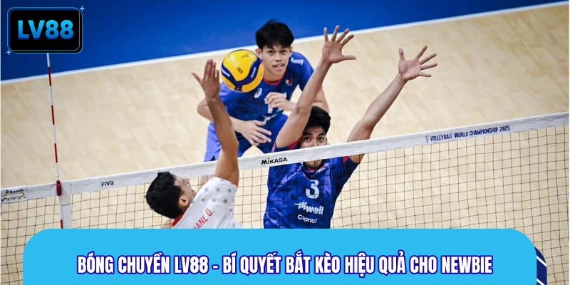 Bóng Chuyền LV88 - Bí Quyết Bắt Kèo Hiệu Quả Cho Newbie