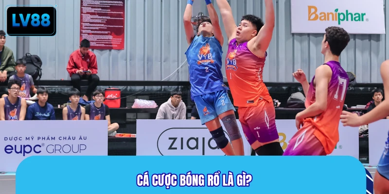 Cá cược bóng rổ là gì?
