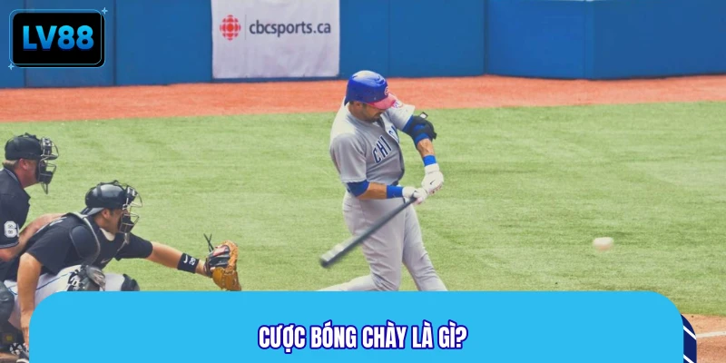 Cược bóng chày là gì?
