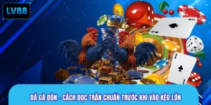Đá Gà Đòn - Cách Đọc Trận Chuẩn Trước Khi Vào Kèo Lớn