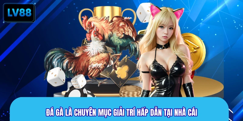 Đá gà là chuyên mục giải trí hấp dẫn tại nhà cái