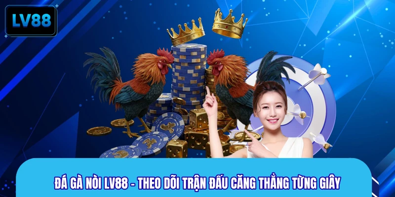 Đá Gà Nòi LV88 - Theo Dõi Trận Đấu Căng Thẳng Từng Giây