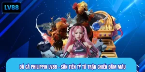 Đá Gà Philippin LV88 - Săn Tiền Tỷ Từ Trận Chiến Đẫm Máu