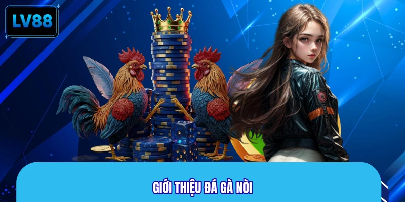 Giới thiệu đá gà nòi
