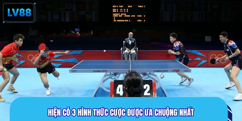 Hiện có 3 hình thức cược được ưa chuộng nhất