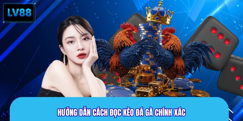 Hướng dẫn cách đọc kèo đá gà chính xác