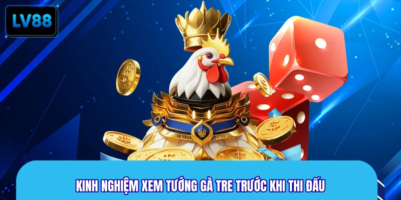 Kinh nghiệm xem tướng gà tre trước khi thi đấu