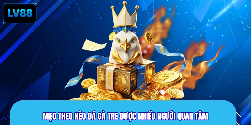 Mẹo theo kèo đá gà tre được nhiều người quan tâm