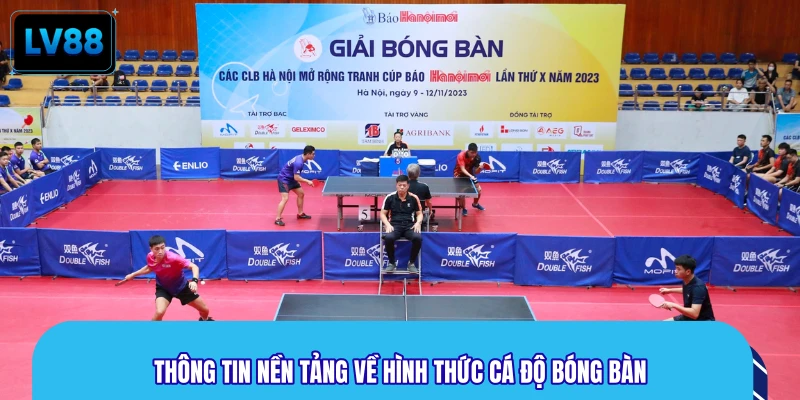Thông tin nền tảng về hình thức cá độ bóng bàn