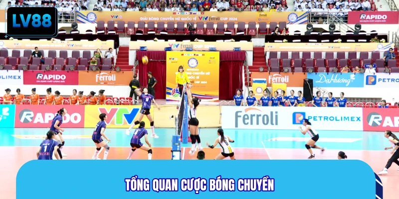 Tổng quan cược bóng chuyền